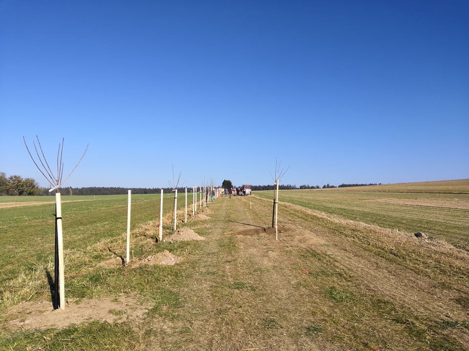 Alej Karla Havlíčka Borovského - 960 x 720